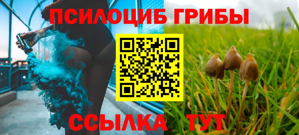 Ульяновск  Псилоцибиновые грибы Magic Shrooms  Галлюциногенные грибы Cubensis  Вход с VPN 